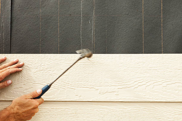 Best Historical Building Siding Restoration  in Victoria, MS